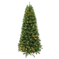 5021346541649 1 Aspen Fir Slimline Pre Lit.jpg